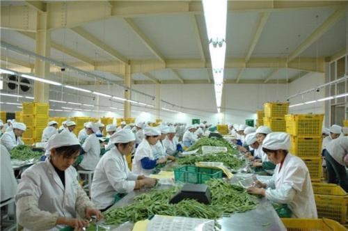农产品深加工的无限可能 多元加工与提升增值